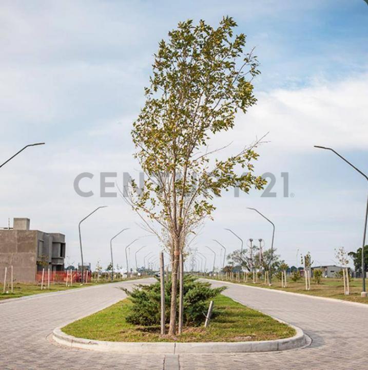 Eco tierra , Pueblo Esther, Santa Fe 2126, Argentyna