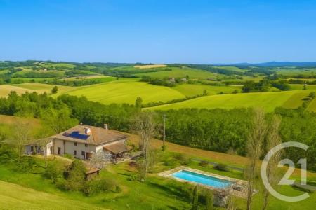 Montgaillard, Midi-Pyrénées 81630, France