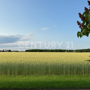 Schöneiche, Brandenburg 15566, Alemanha