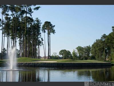 lot 196 Geneagle Court, Denham Springs, Louisiana 70726, Estados Unidos