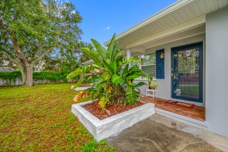 538 Bamboo Lane, Clearwater, Флорида 33764, Соединенные Штаты