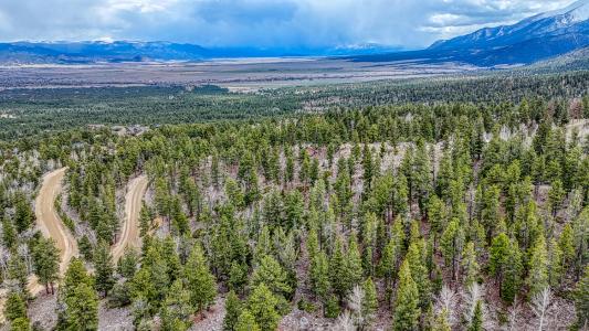 30176 Mountaintop Drive, Buena Vista, Колорадо 81211, Соединенные Штаты