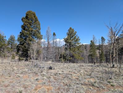 1164 Frees Loop, Guffey, Colorado 80820, États-Unis