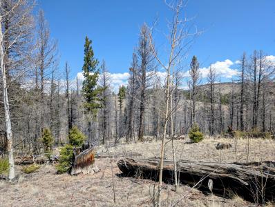 1164 Frees Loop, Guffey, Colorado 80820, États-Unis