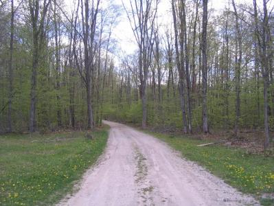 5198 Troopers Trail, Frederic, Michigan 49733, USA