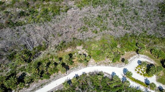 6030 Sabal Palm Dr, Placida, Florida 33946, Estados Unidos