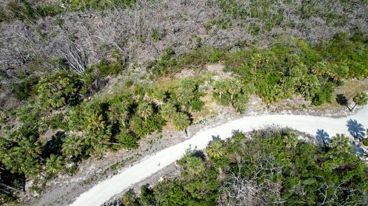 6030 Sabal Palm Dr, Placida, Florida 33946, Estados Unidos
