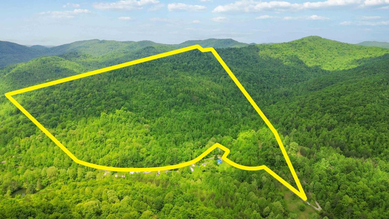 0000 Little Wolf Creek, Williamsburg, كنتاكي 40769, الولايات المتحدة
