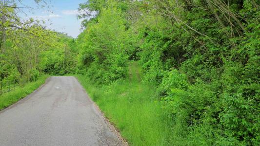 0000 Little Wolf Creek, Williamsburg, كنتاكي 40769, الولايات المتحدة