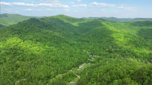 0000 Little Wolf Creek, Williamsburg, كنتاكي 40769, الولايات المتحدة