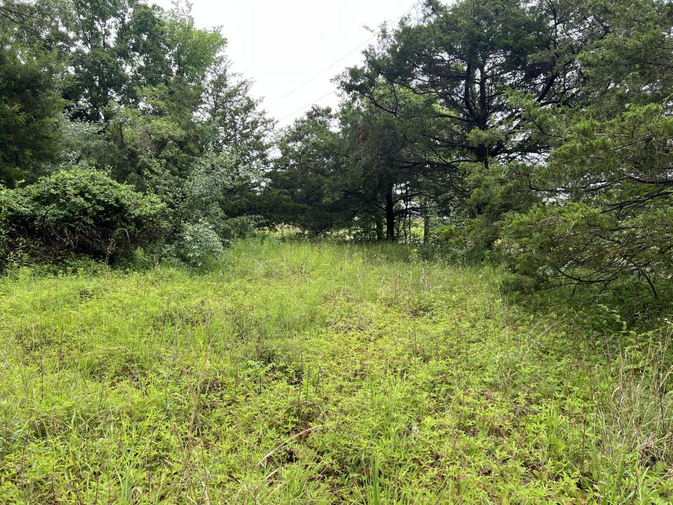 Lot 211 Cherokee Drive, Goreville, Illinois 62939, Estados Unidos