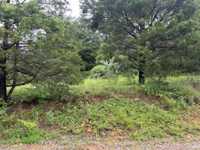 Lot 211 Cherokee Drive, Goreville, Illinois 62939, Estados Unidos
