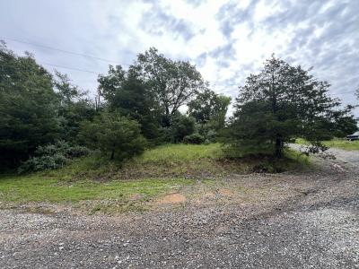 Lot 211 Cherokee Drive, Goreville, Illinois 62939, Estados Unidos