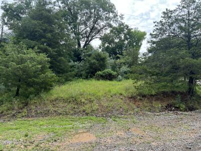 Lot 211 Cherokee Drive, Goreville, Illinois 62939, Estados Unidos