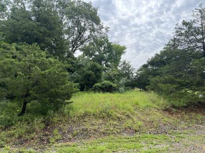 Lot 211 Cherokee Drive, Goreville, Illinois 62939, Estados Unidos