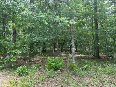 TBD VZCR 1712, Grand Saline, Texas 75140, USA