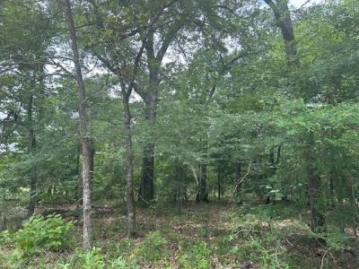TBS VZCR 1712, Grand Saline, 텍사스 75140, 미국