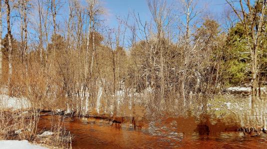 19.5 Acres 9 Mile Road, Kaleva, Michigan 49645, Amerika Birleşik Devletleri