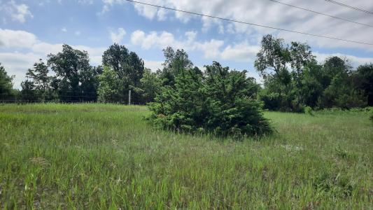 19.5 Acres 9 Mile Road, Kaleva, Michigan 49645, Amerika Birleşik Devletleri