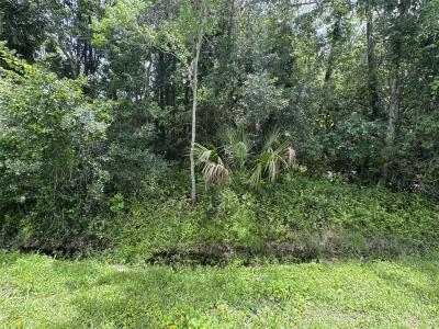 2737 10th Street, ORLANDO, Flórida 32820, Estados Unidos