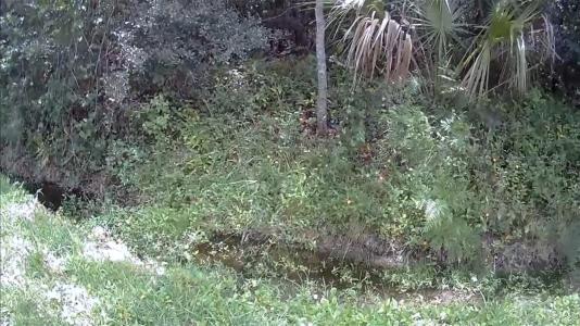 2737 10th Street, ORLANDO, Flórida 32820, Estados Unidos