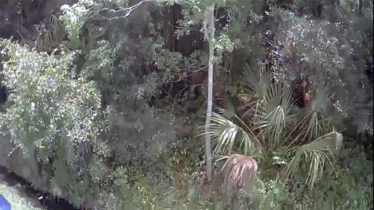 2737 10th Street, ORLANDO, Flórida 32820, Estados Unidos