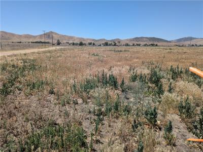 0 Soda Lake Road, California Valley, 加利福尼亚州 93453, 美国