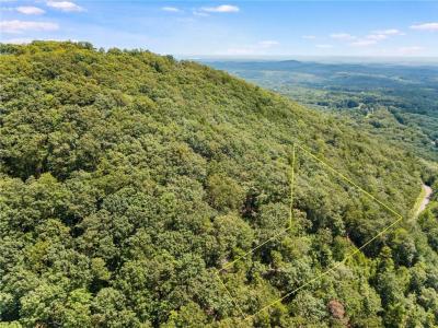 8267 Cox Mountain Lane, Big Canoe, Georgia 30143, USA