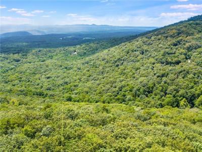 8267 Cox Mountain Lane, Big Canoe, Georgia 30143, USA