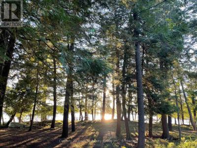 0 SOYERS LAKE ROAD, Minden Hills (minden), Ontario K0M 2K0, Canada