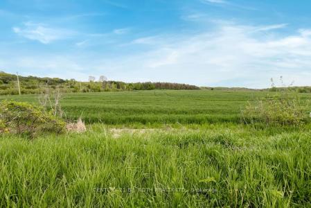 584 CURRY ROAD, Penetanguishene, Ontario L9M 2C8, Canada