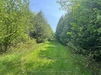 502774 SIDEROAD 9 WGR N/A, West Grey, Ontario N0G 1R0, Kanada