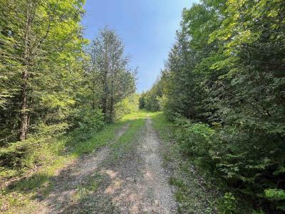 502774 SIDEROAD 9 WGR N/A, West Grey, Ontario N0G 1R0, Kanada