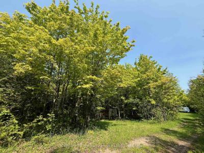 502774 SIDEROAD 9 WGR N/A, West Grey, Ontario N0G 1R0, Kanada
