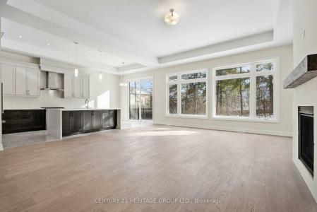 157 SNIVELY STREET, Richmond Hill, Ontario L4E 3E9, Canada