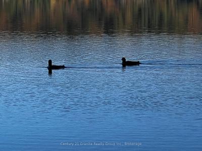 1141 KANAWA LANE, Algonquin Highlands, Ontario K0M 1S0, Canadá