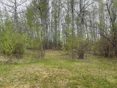 LOT 9 BLOCK 3 SUMMERHAVEN, Rural Wetaskiwin No. 10, County Of, Alberta T0C 1H0, Kanada
