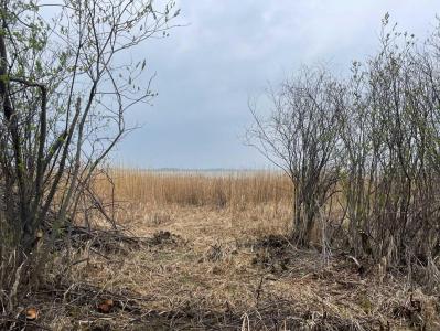 LOT 9 BLOCK 3 SUMMERHAVEN, Rural Wetaskiwin No. 10, County Of, Alberta T0C 1H0, Kanada