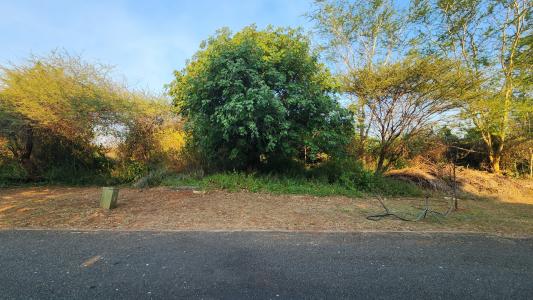 Malelane, Mpumalanga, Güney Afrika