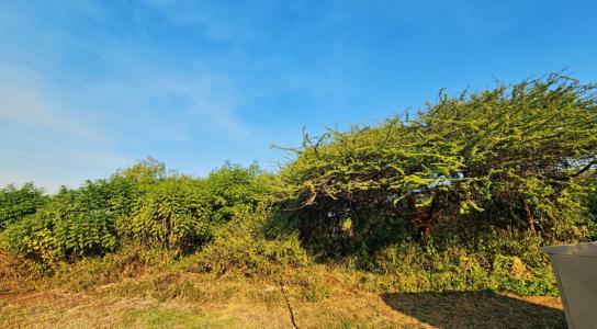 Malelane, Mpumalanga, Güney Afrika