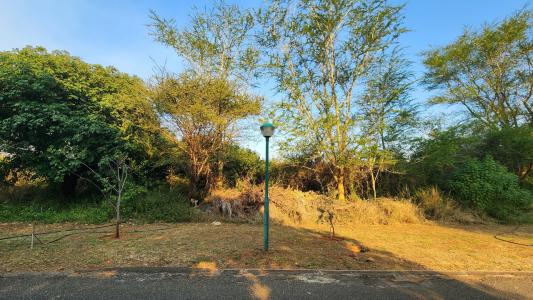 Malelane, Mpumalanga, Güney Afrika