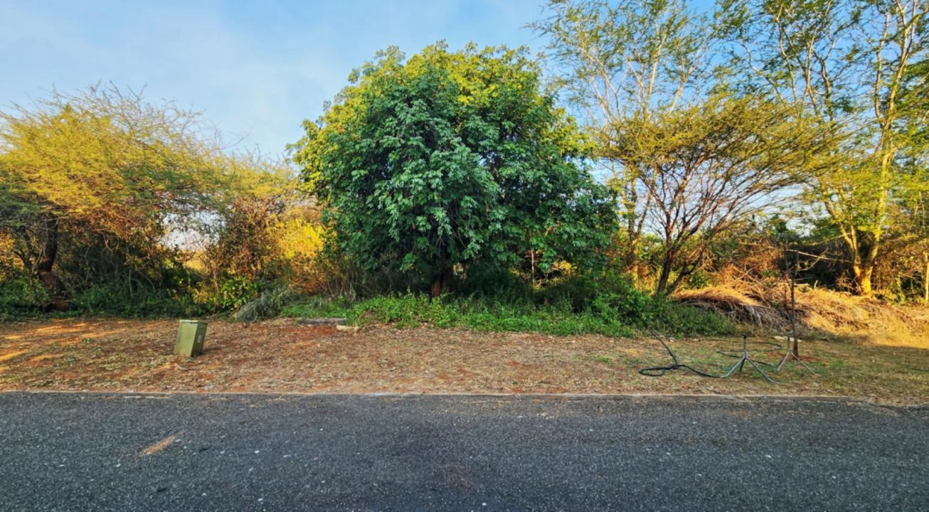Malelane, Mpumalanga, Güney Afrika