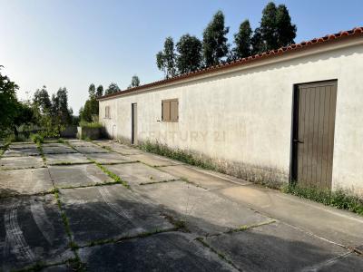 Mação, Santarém 6120-167, Portugal