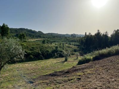 Mação, Santarem 6120-167, Portugal