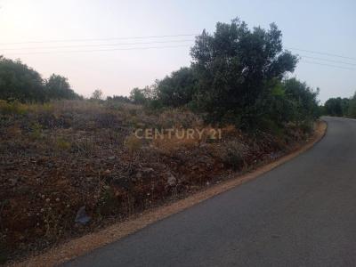 Silves, Faro 8300-000, Bồ Đào Nha