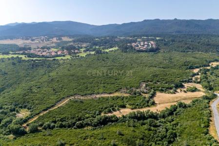 Cascais, Lisbon 2645-001, Portugal