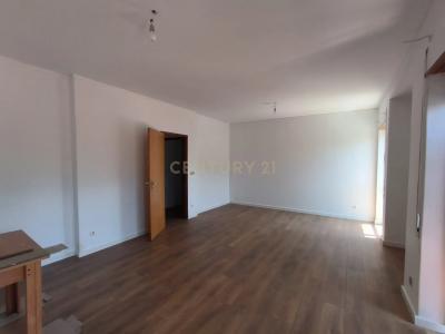 Leiria, Leiria 2410-093, Portugal