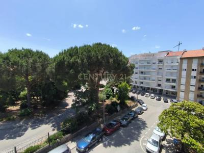 Leiria, Leiria 2410-093, Portugal
