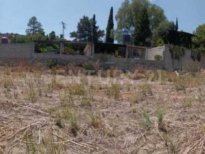 Tepantitla S/N,, Texcoco, Estado De Mexico 56240, Mexico