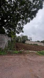 Paraje Los Nogales S/N,, Villa De Etla, Oaxaca 68200, México
